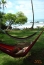 Relax in Corcovado