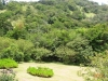 Bosque Y Playa