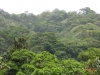 Cloud Forest & Beach