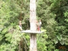 Tour de Canopy Osa