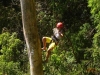 Tour de Canopy Osa