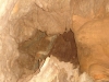 Savegre Caves Trek