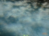 Rio Celeste
