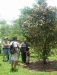 Tropical Plantation Tour CATIE