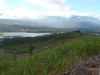 Tropical Horseback Riding