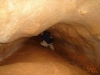 Caminata Cavernas de Savegre
