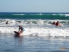 Bosque Y Playa