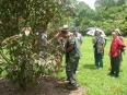 Tropical Plantation Tour CATIE