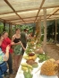 TOUR DE PLANTACIÃ“N CATIE