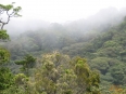 Monteverde Cloud Forest Lodge