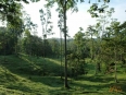 Selva Bananito Lodge
