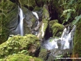 Paraiso del Quetzal