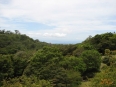 Monteverde Cloud Forest Lodge