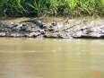 The Chocuaco Lake Trail and Lodge