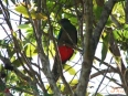 Cabinas El Quetzal