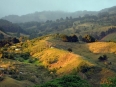 Toucanet Lodge