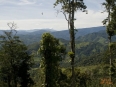 Rancho Naturalista