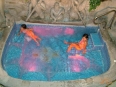 Adventure Inn Hotel