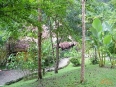 Esquinas Rainforest Lodge