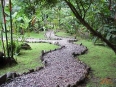 Esquinas Rainforest Lodge