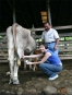 Rancho La Merced
