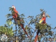 Hotel Villa Lapas