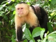La Paz Waterfall Gardens