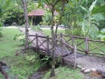 Esquinas Rainforest Lodge