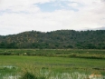 Palo Verde Biological Station