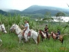 Tropical Horseback Riding