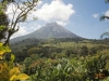 Nature History Walk to Arenal