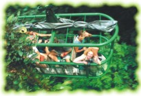 Rainforest Aerial Tram
