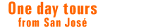 One day tours
