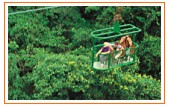 Rainforest Aerial Tram