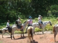 Horseback Riding in Rancho La Merced