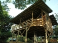 Selva Bananito Lodge