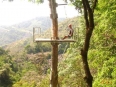 Osa Canopy Tour