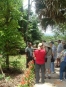 Tropical Plantation Tour CATIE