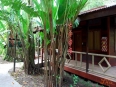 Pachira Lodge