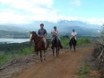 Tropical Horseback Riding